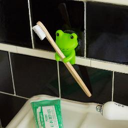 Animal Toothbrush Holder